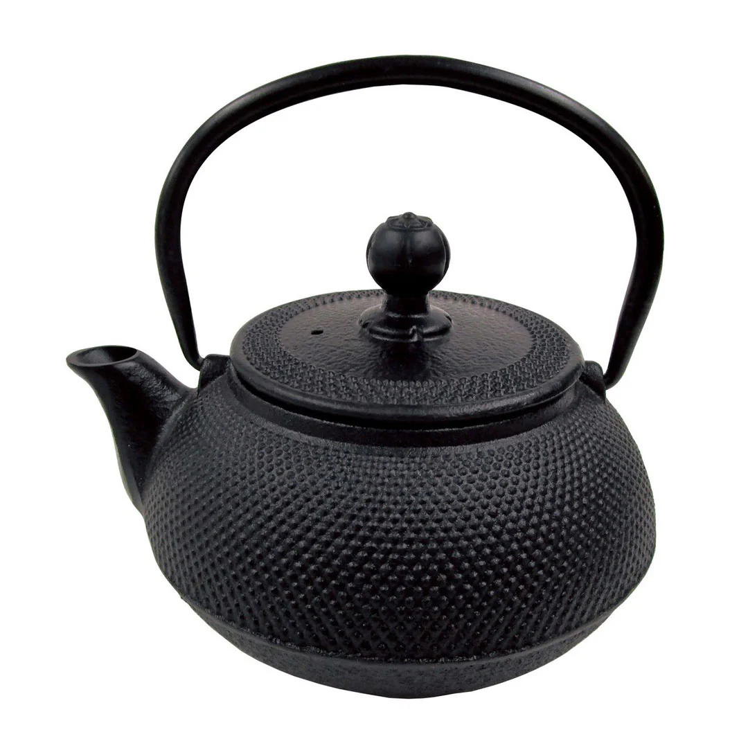 Kiraku Arare Textured Cast Iron Teapot Kyusu with Strainer 16.9 fl oz